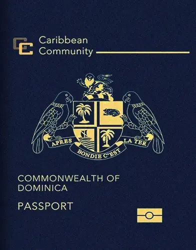 Passports Stack
